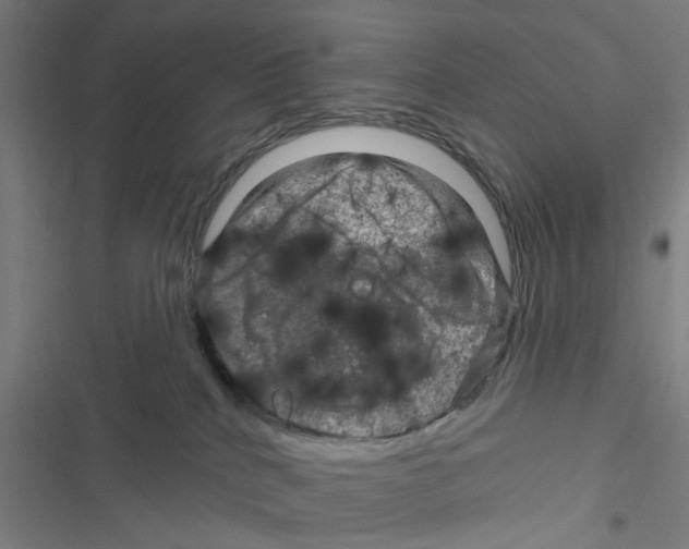 X0000116870040201001191732