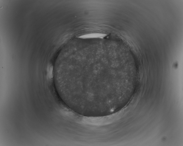 X0000116870041201001191732