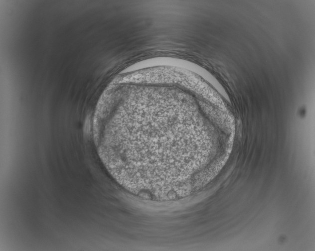 X0000116870042201001191732