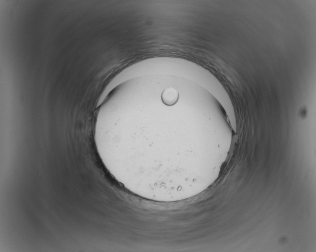 X0000116870043201001191732