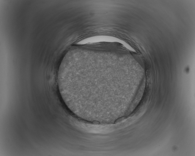 X0000116870044201001191732