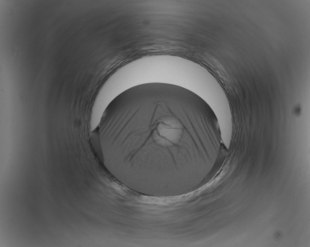 X0000116870045201001191732