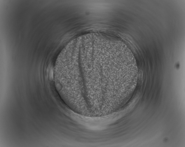 X0000116870046201001191732