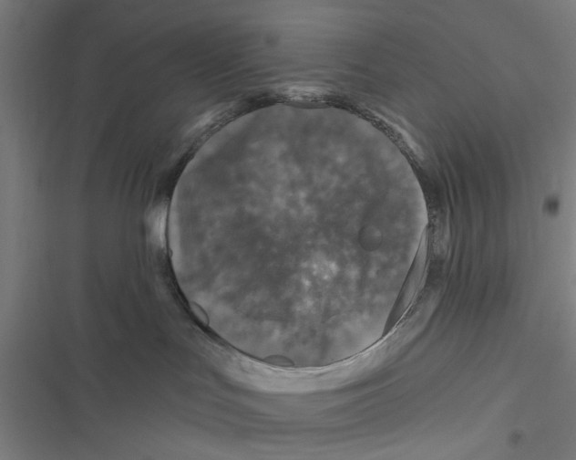X0000116870047201001191732