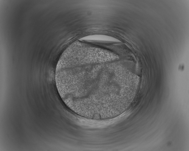 X0000116870048201001191732