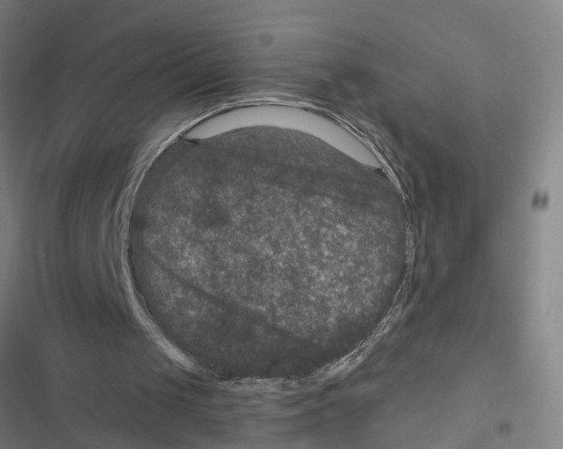X0000116870049201001191731