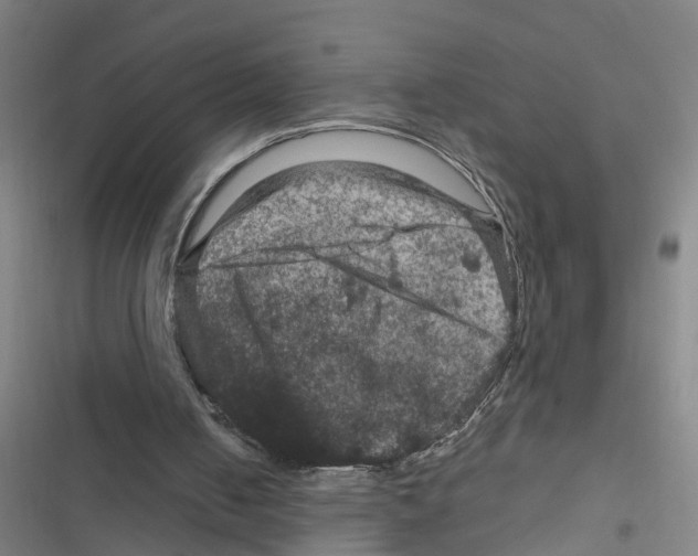 X0000116870050201001191731