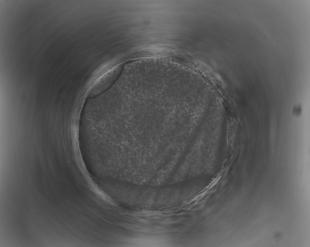 X0000116870051201001191731