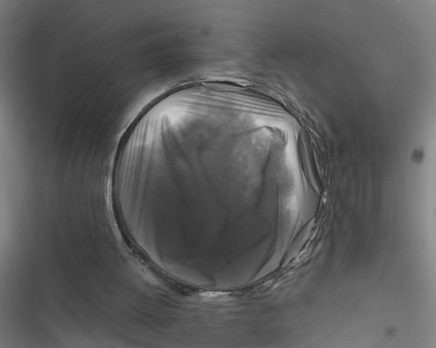X0000116870052201001191731