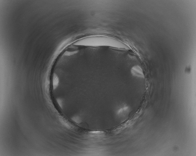 X0000116870053201001191731