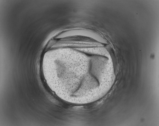 X0000116870054201001191731