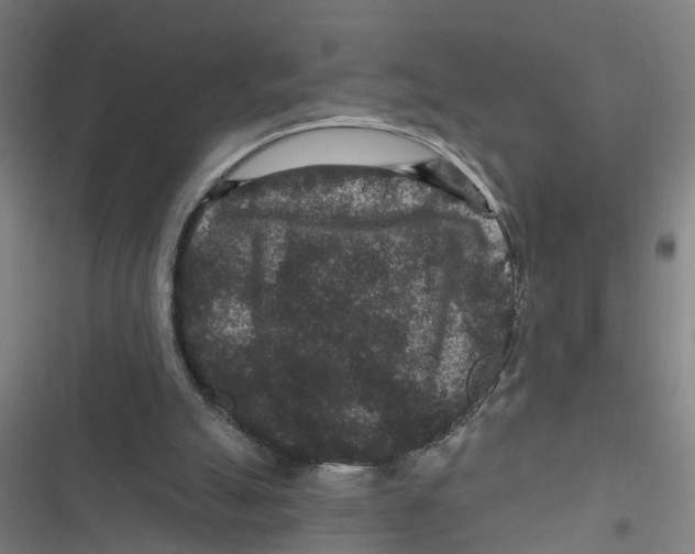 X0000116870055201001191731