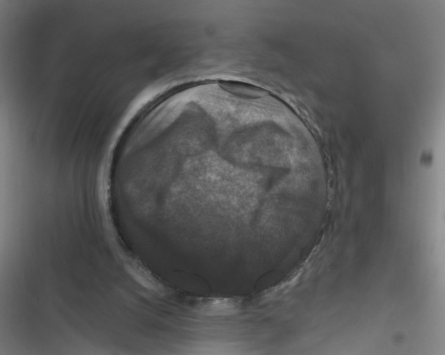 X0000116870056201001191731