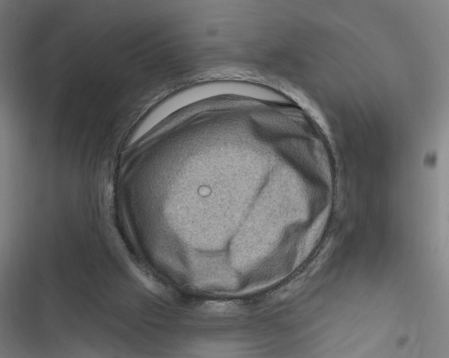 X0000116870057201001191731