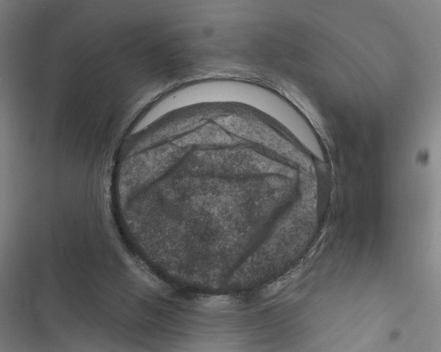 X0000116870058201001191731