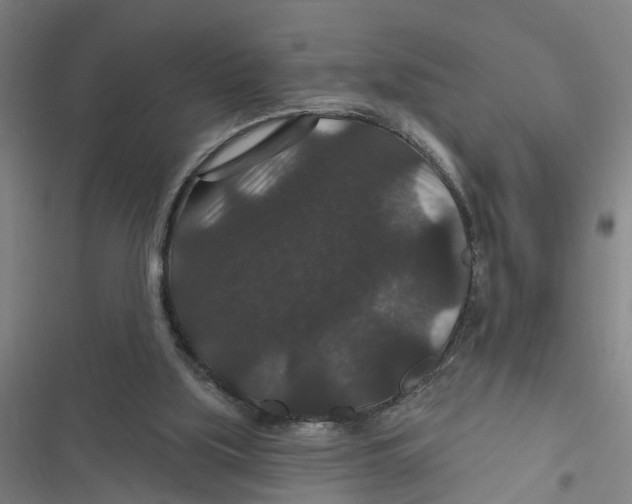 X0000116870059201001191731