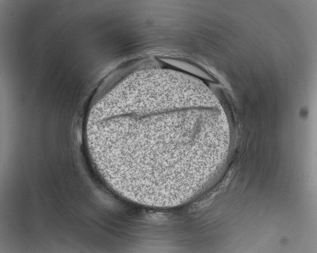 X0000116870062201001191731
