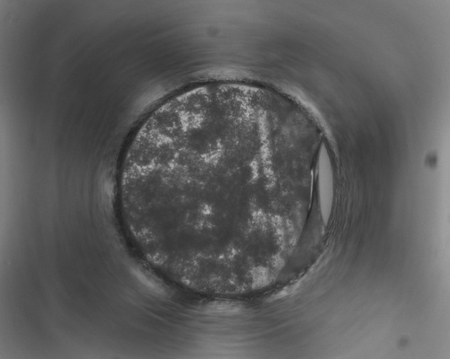 X0000116870063201001191731