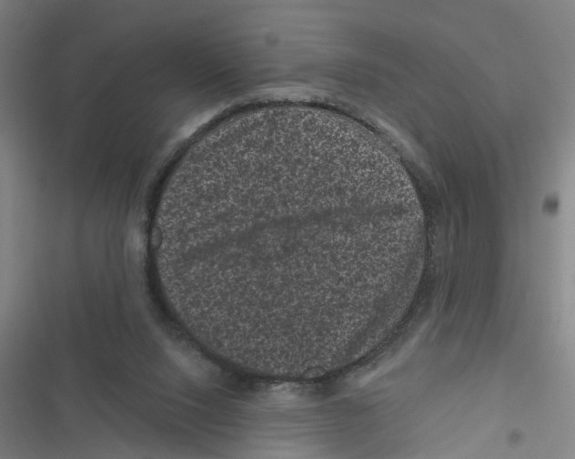 X0000116870064201001191731