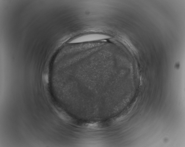 X0000116870068201001191732