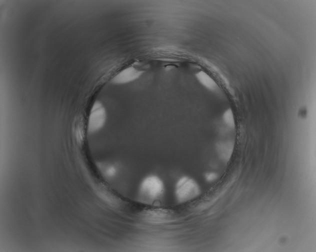 X0000116870069201001191732