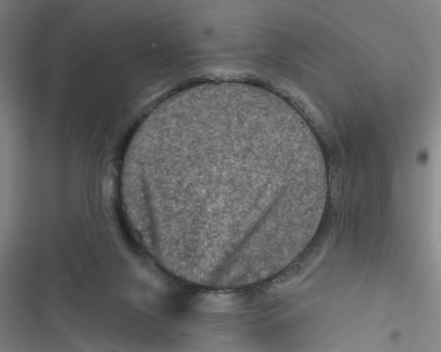 X0000116870071201001191732