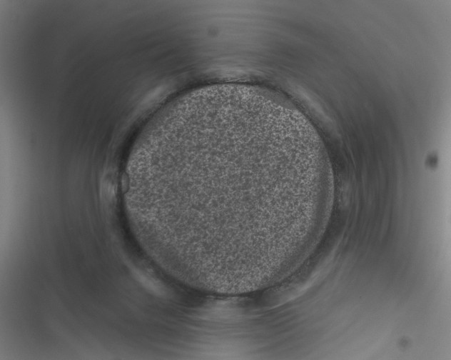 X0000116870072201001191732