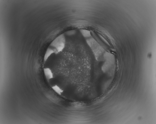 X0000116870073201001191732