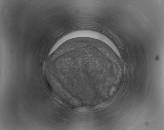 X0000116870075201001191732