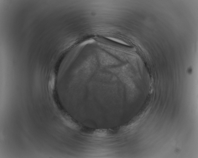 X0000116870076201001191732