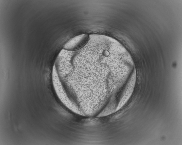 X0000116870077201001191732
