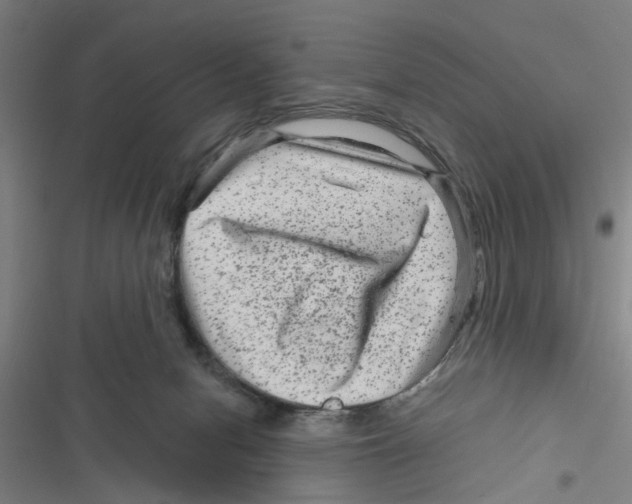 X0000116870078201001191732
