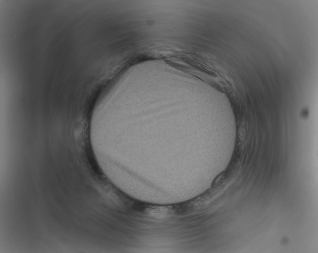 X0000116870079201001191732