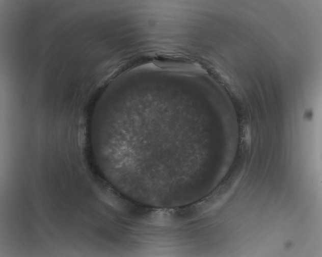 X0000116870080201001191732