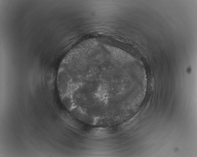 X0000116870082201001191732