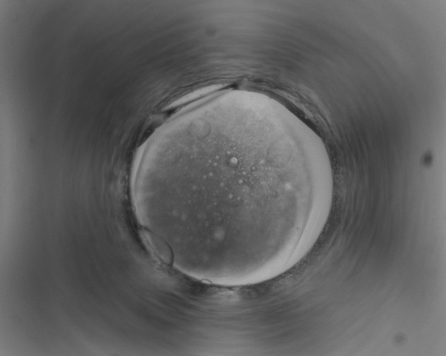 X0000116870083201001191732