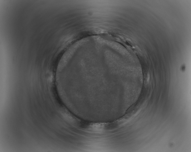 X0000116870084201001191732