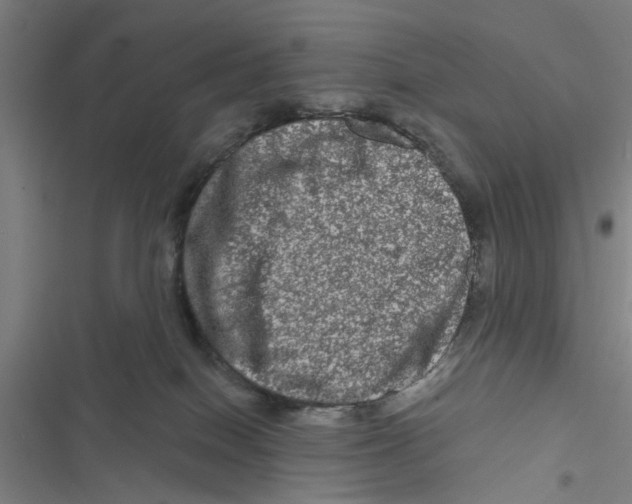 X0000116870086201001191732