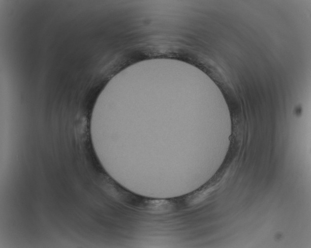 X0000116870087201001191732