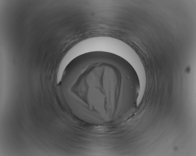 X0000116870088201001191732
