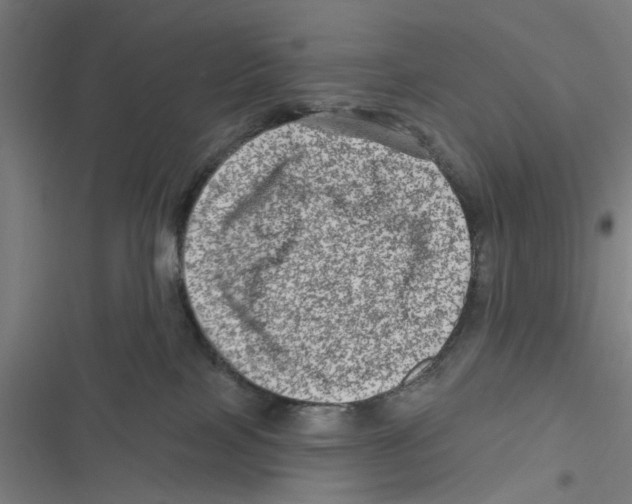 X0000116870089201001191732