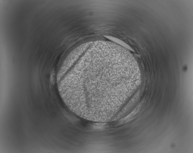 X0000116870090201001191732