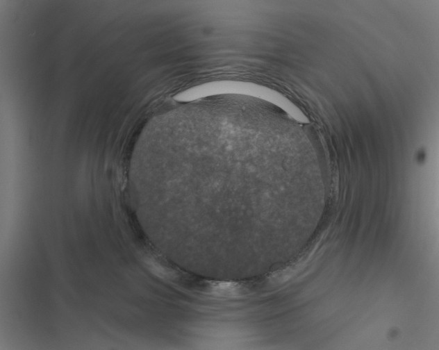 X0000116870091201001191732