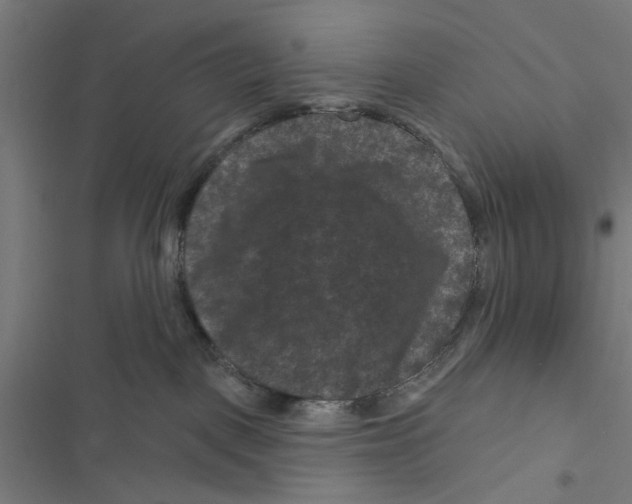 X0000116870093201001191732