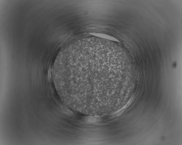 X0000116870094201001191732