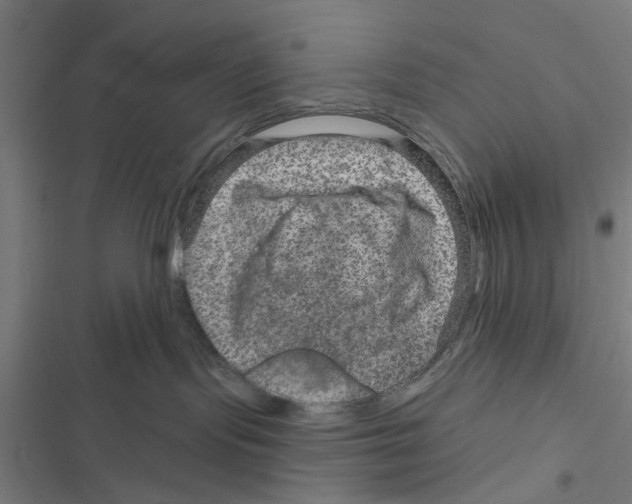 X0000116870095201001191732