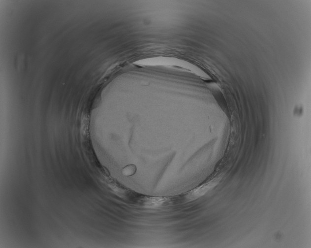 X0000116870096201001191732
