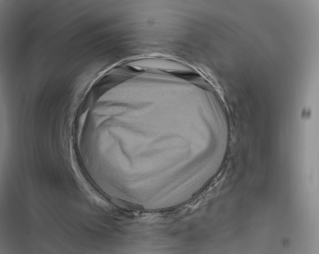 X0000116870097201001191731