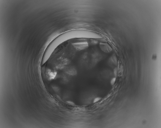 X0000116870099201001191731