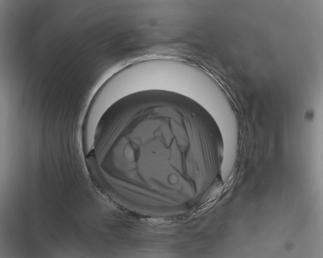 X0000116870100201001191731